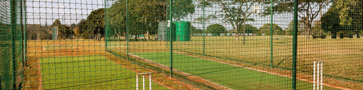 Cricket Net