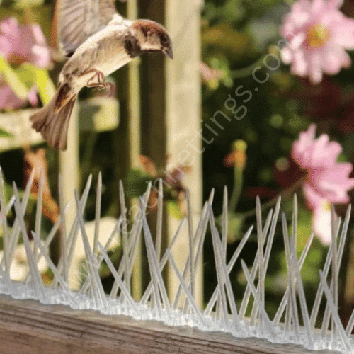 Polycarbonate Bird Spikes