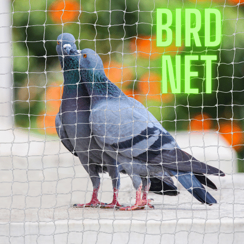 Bird Net