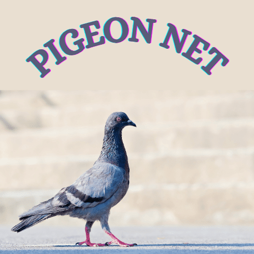 pigeon net for balconies