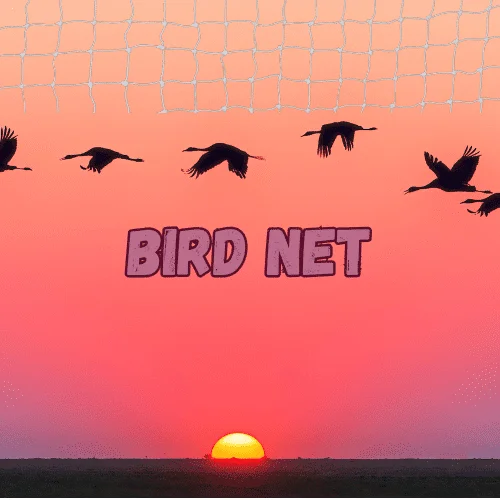 Bird net installed to help maintain balcony hygiene
